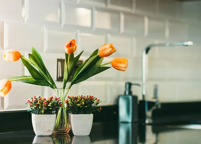 Retro No 7, Cleopatra Alanya