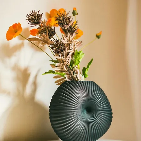 Retro No 7, Cleopatra アパート アランヤ